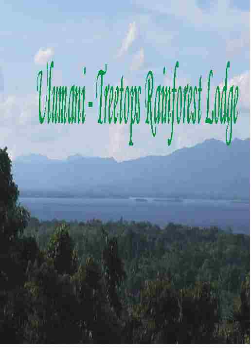 Ulumani Treetops Lodge